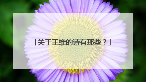 关于王维的诗有那些？
