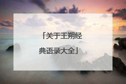 关于王朔经典语录大全
