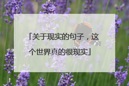 关于现实的句子,这个世界真的很现实