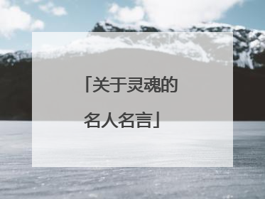 关于灵魂的名人名言