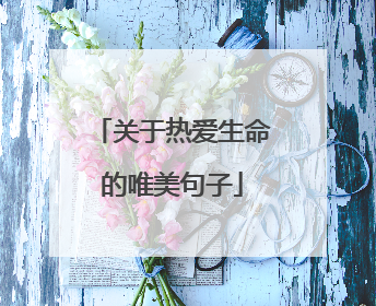 关于热爱生命的唯美句子