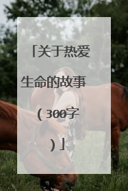 关于热爱生命的故事(300字)