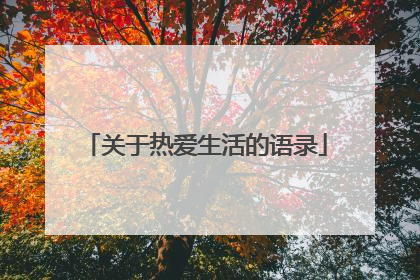 关于热爱生活的语录
