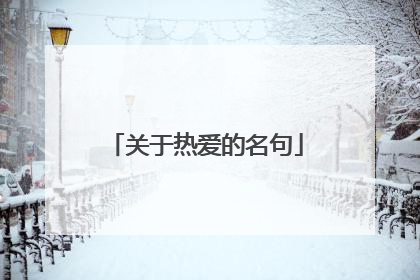 关于热爱的名句
