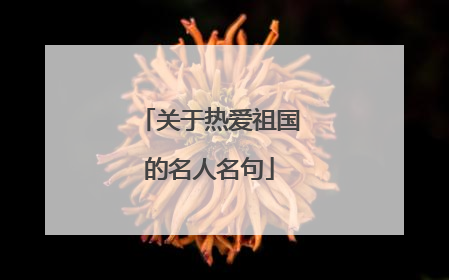 关于热爱祖国的名人名句