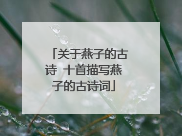 关于燕子的古诗 十首描写燕子的古诗词