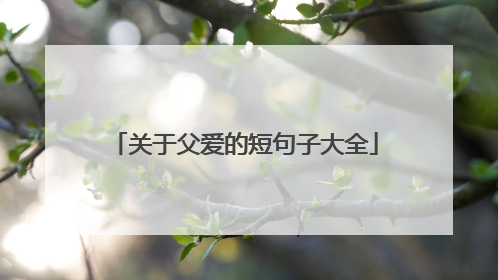 关于父爱的短句子大全