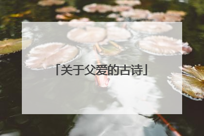 关于父爱的古诗