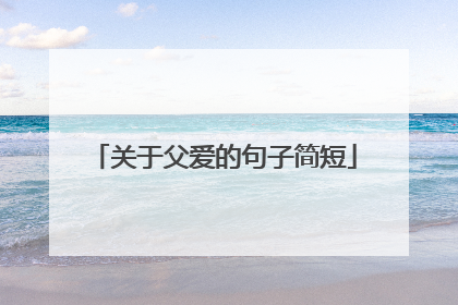 关于父爱的句子简短