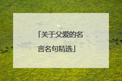 关于父爱的名言名句精选