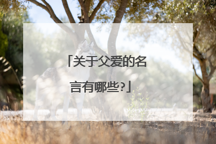 关于父爱的名言有哪些?