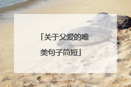 关于父爱的唯美句子简短