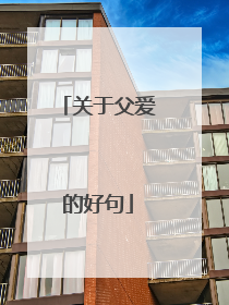 关于父爱的好句