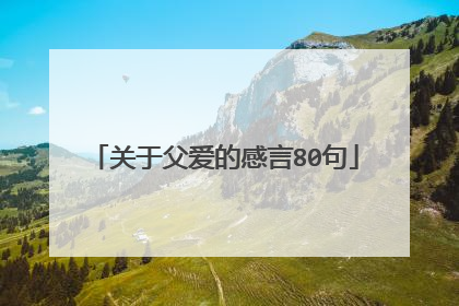 关于父爱的感言80句
