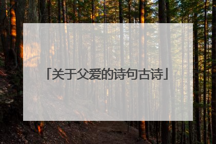 关于父爱的诗句古诗