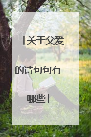 关于父爱的诗句句有哪些