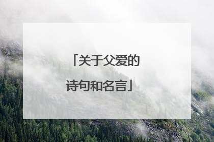 关于父爱的诗句和名言