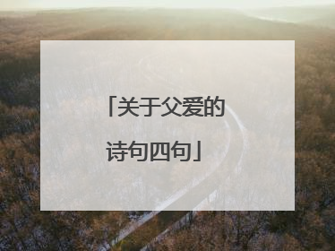 关于父爱的诗句四句