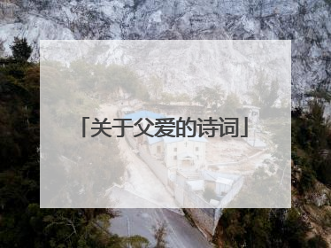 关于父爱的诗词