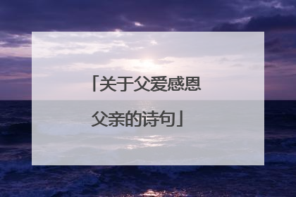 关于父爱感恩父亲的诗句