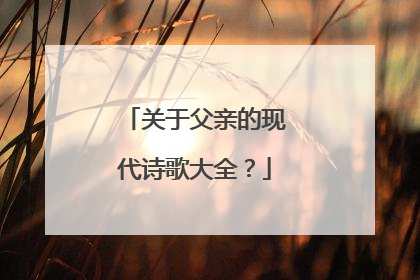 关于父亲的现代诗歌大全？