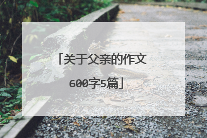 关于父亲的作文600字5篇