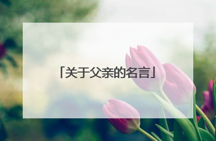 关于父亲的名言
