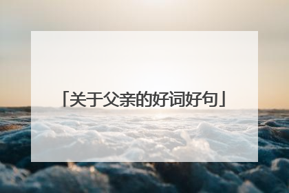 关于父亲的好词好句