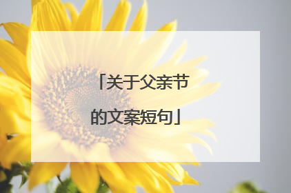 关于父亲节的文案短句