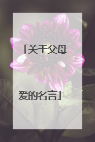 关于父母爱的名言