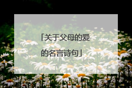 关于父母的爱的名言诗句