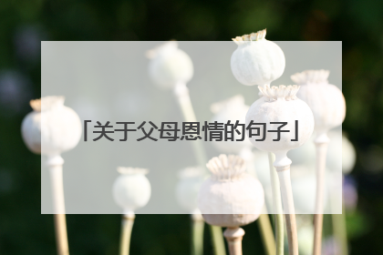 关于父母恩情的句子