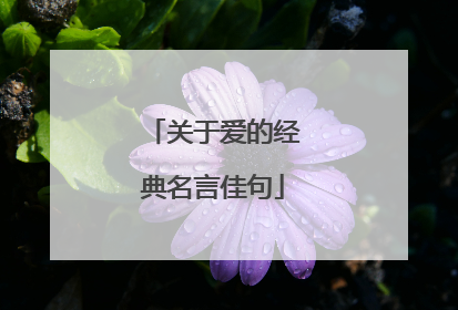 关于爱的经典名言佳句