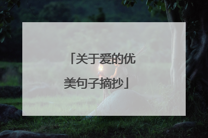 关于爱的优美句子摘抄