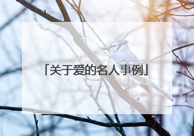 关于爱的名人事例