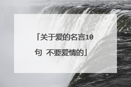 关于爱的名言10句 不要爱情的