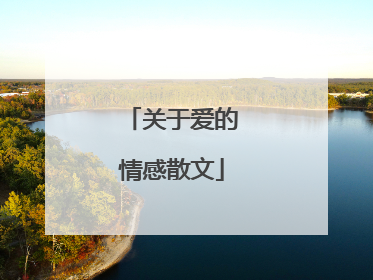 关于爱的情感散文
