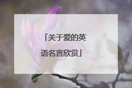 关于爱的英语名言欣赏