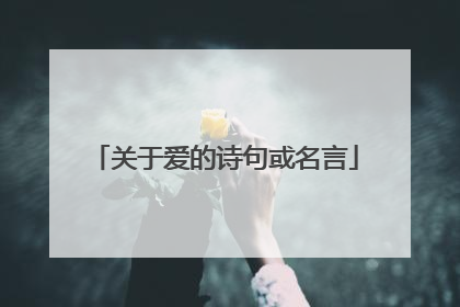 关于爱的诗句或名言