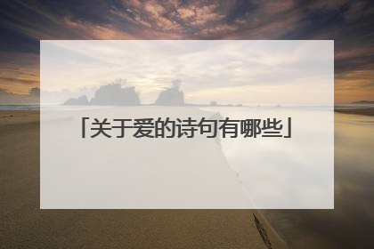 关于爱的诗句有哪些