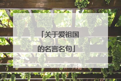 关于爱祖国的名言名句