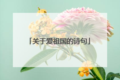 关于爱祖国的诗句