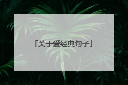 关于爱经典句子