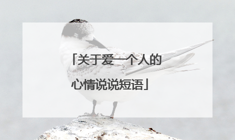 关于爱一个人的心情说说短语