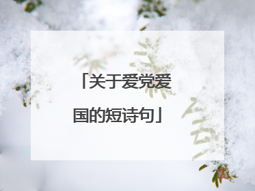 关于爱党爱国的短诗句