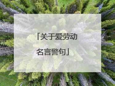 关于爱劳动名言警句