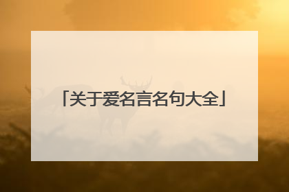 关于爱名言名句大全