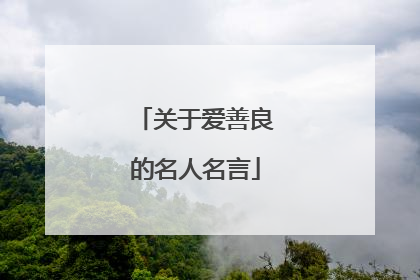 关于爱善良的名人名言