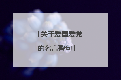 关于爱国爱党的名言警句