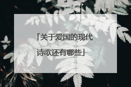 关于爱国的现代诗歌还有哪些